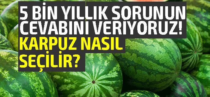 Beş bin yıllık problem: İyi karpuz nasıl seçilir