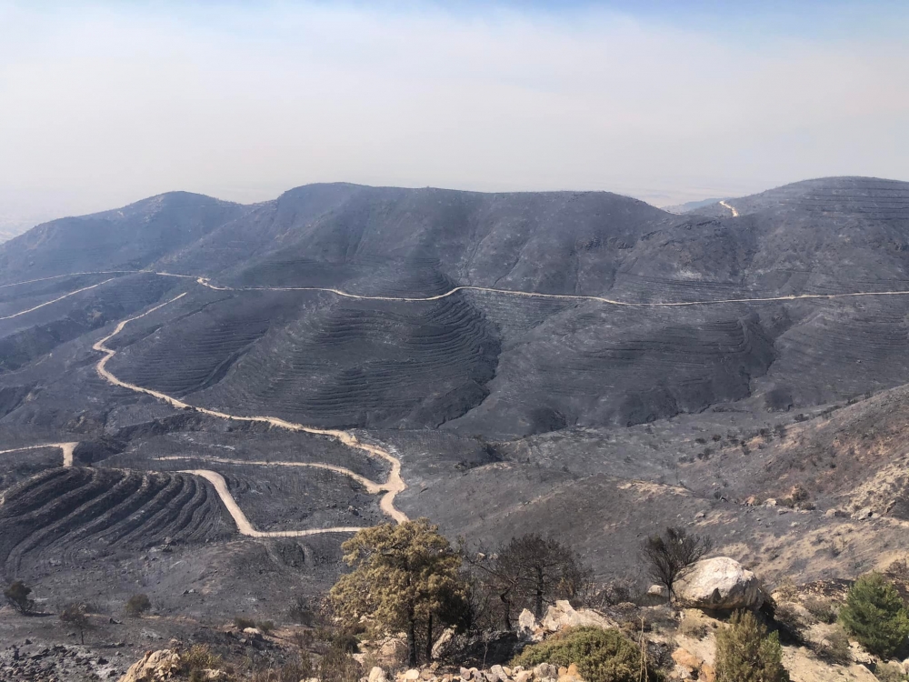 İşte Mersinlik yangınından arda kalanlar galerisi resim 1