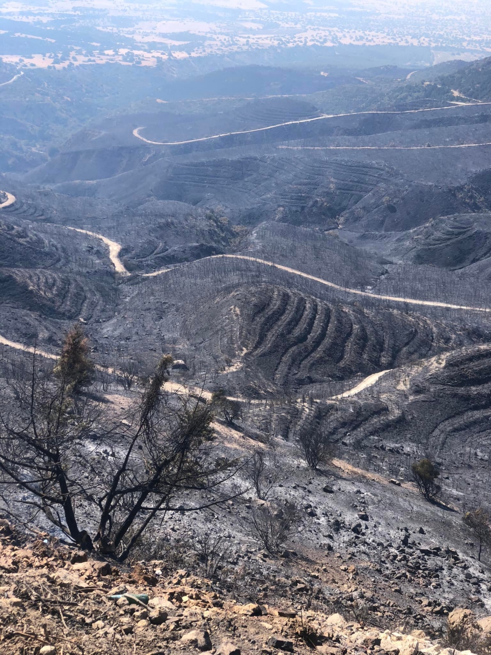 İşte Mersinlik yangınından arda kalanlar galerisi resim 10