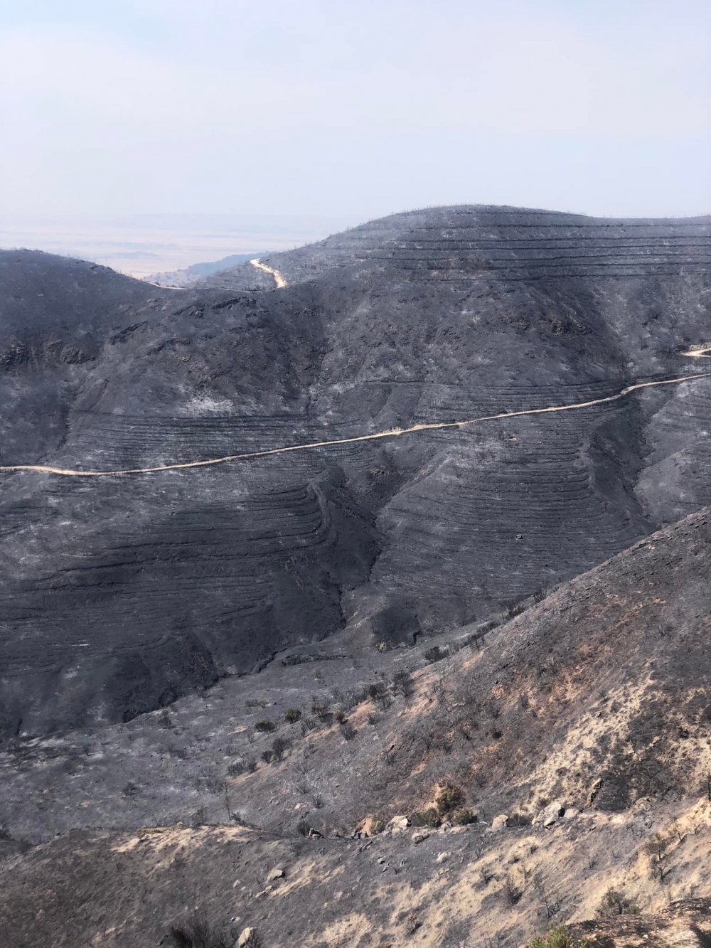 İşte Mersinlik yangınından arda kalanlar galerisi resim 2