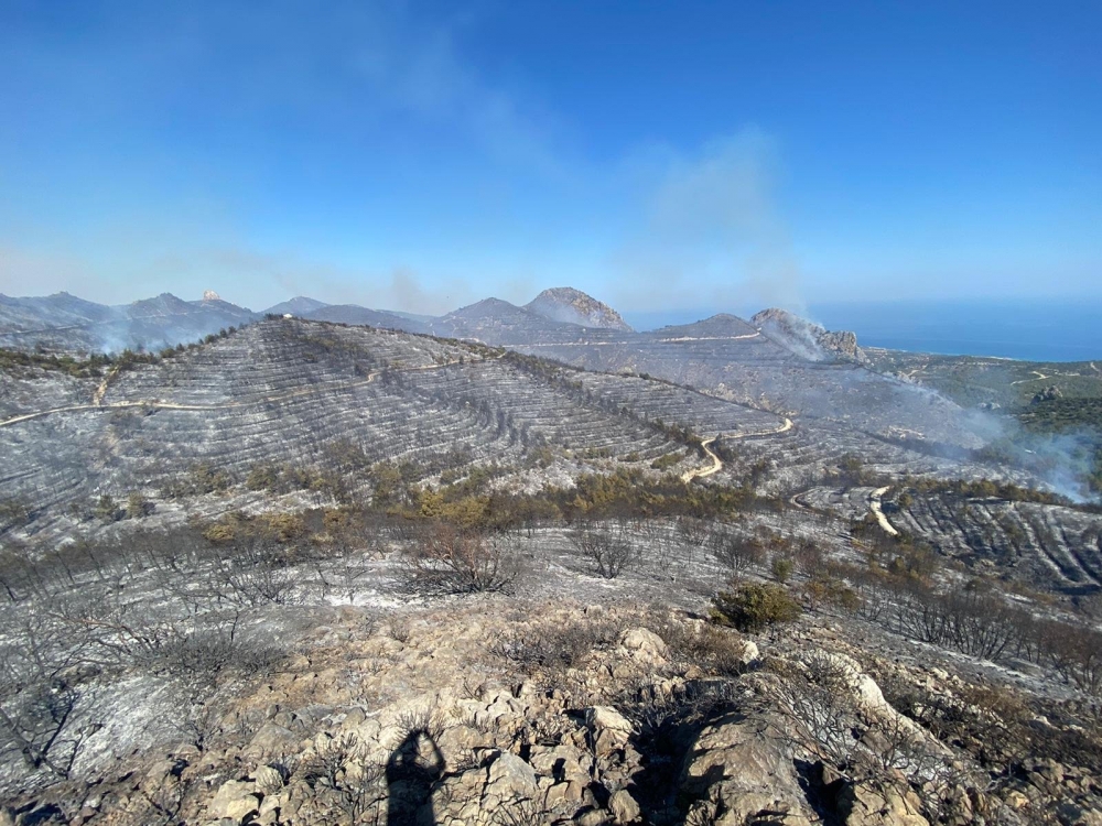 İşte Mersinlik yangınından arda kalanlar galerisi resim 3