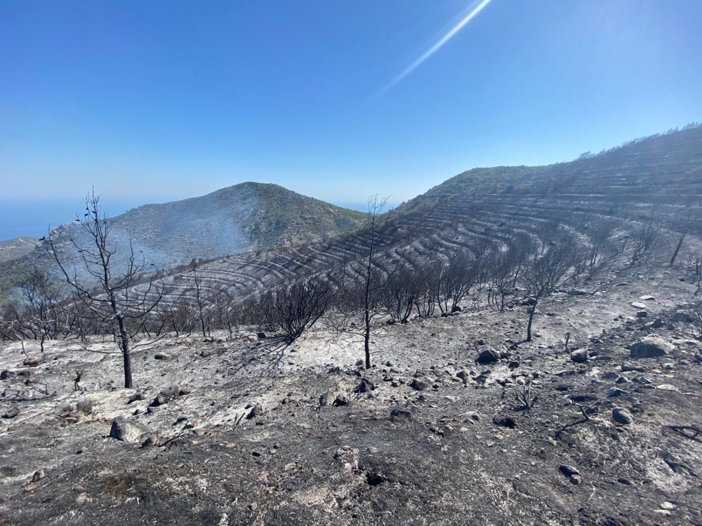 İşte Mersinlik yangınından arda kalanlar galerisi resim 4