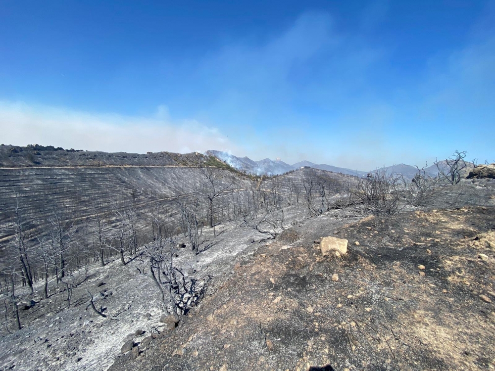 İşte Mersinlik yangınından arda kalanlar galerisi resim 5