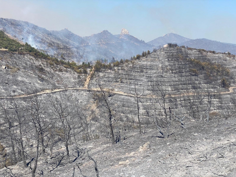 İşte Mersinlik yangınından arda kalanlar galerisi resim 8