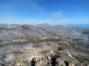 İşte Mersinlik yangınından arda kalanlar