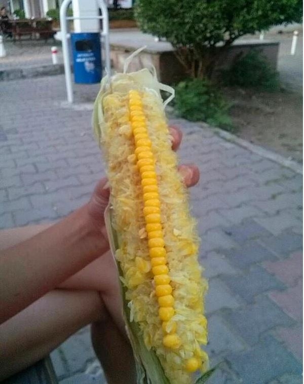 Küçükken kesin yaptığınız 17 şey! galerisi resim 2