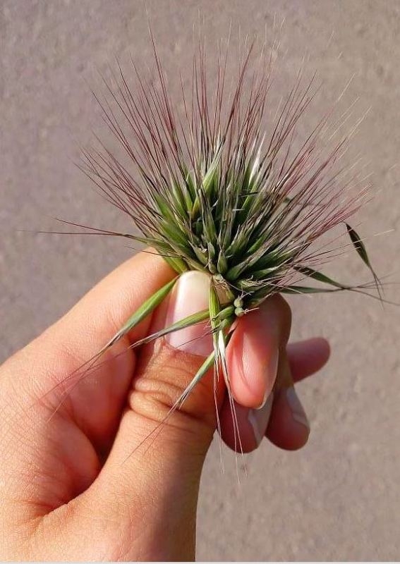 Küçükken kesin yaptığınız 17 şey! galerisi resim 8