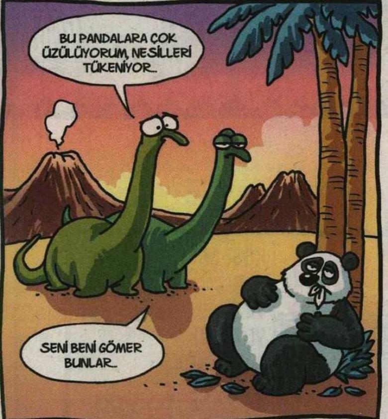 En iyi 10 Selçuk Erdem Karikatürü galerisi resim 6