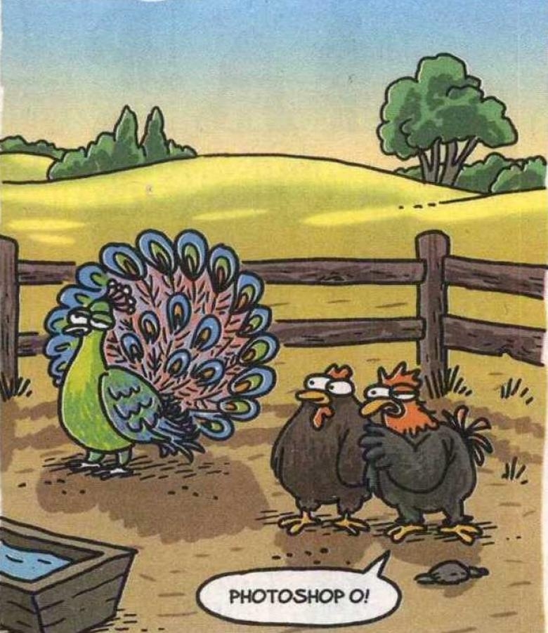 En iyi 10 Selçuk Erdem Karikatürü galerisi resim 8