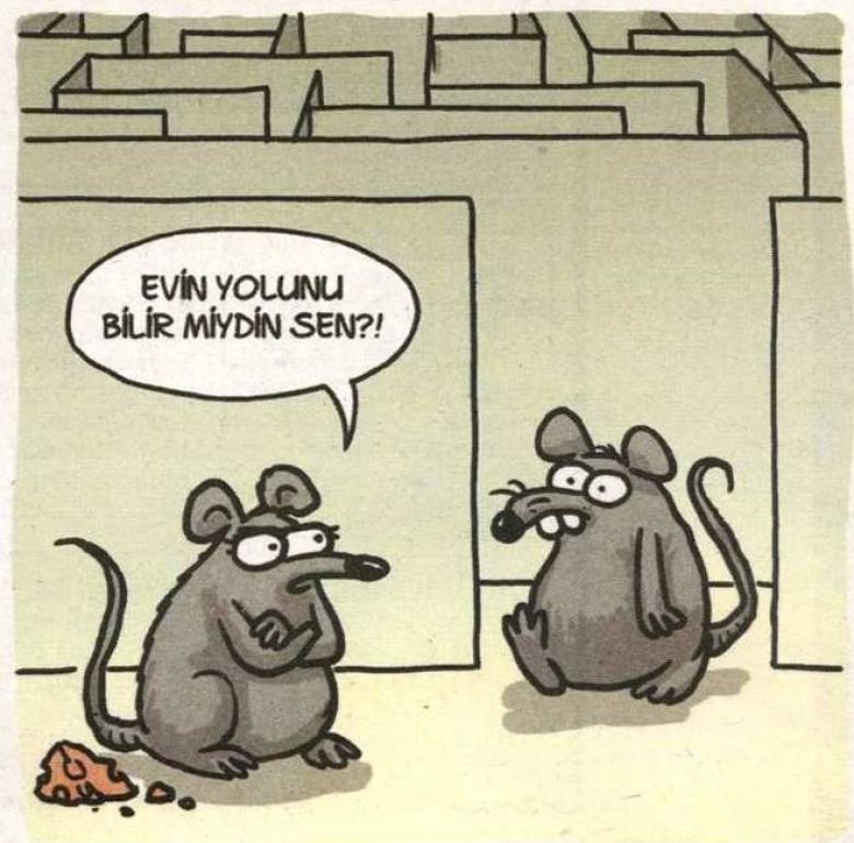 En iyi 10 Selçuk Erdem Karikatürü galerisi resim 9