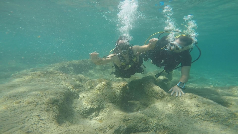 Özgürlük engel tanımaz! galerisi resim 10