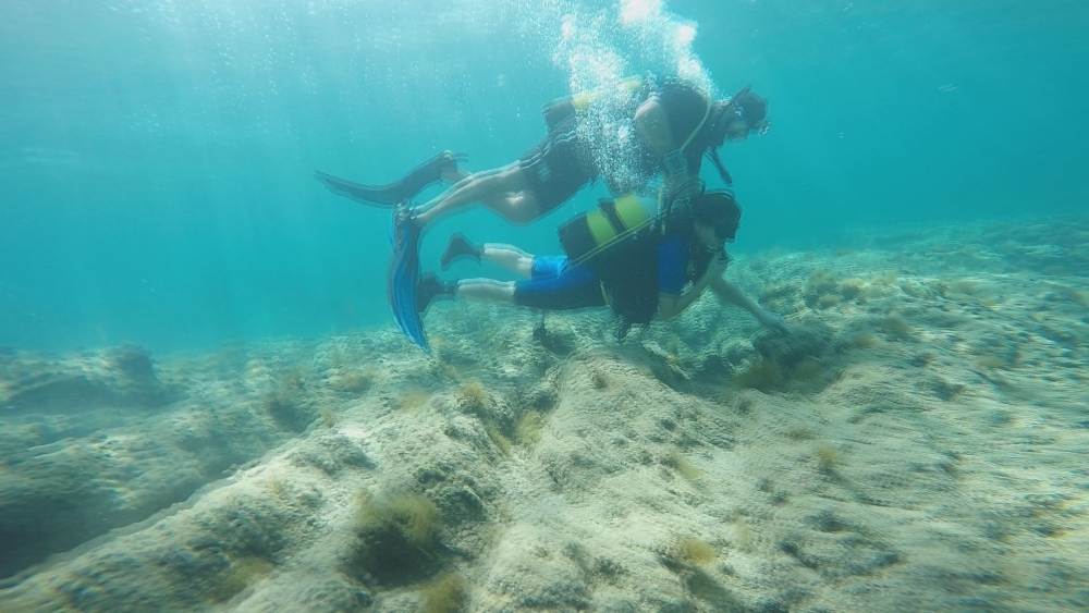 Özgürlük engel tanımaz! galerisi resim 12