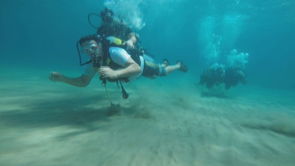 Özgürlük engel tanımaz! galerisi resim 3