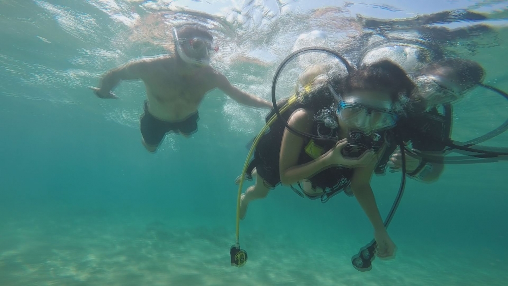 Özgürlük engel tanımaz! galerisi resim 8