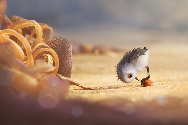 2017 Oscar ödülleri sahiplerini buldu galerisi resim 16