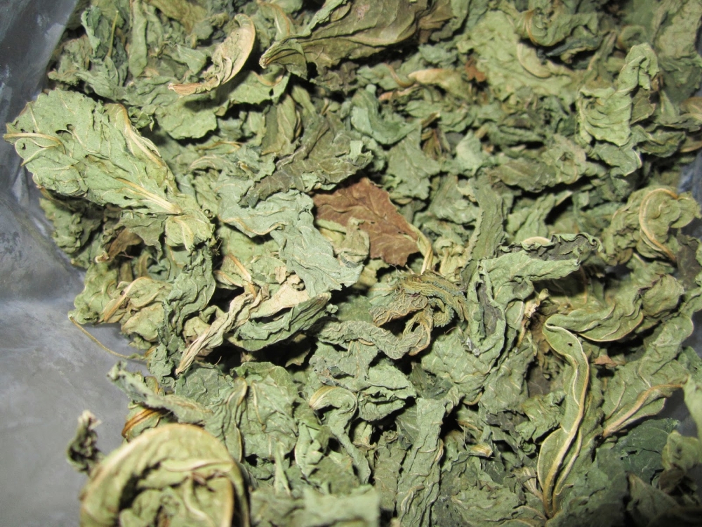 İşte Molehiyanın bilinmeyen 9 faydası! galerisi resim 10