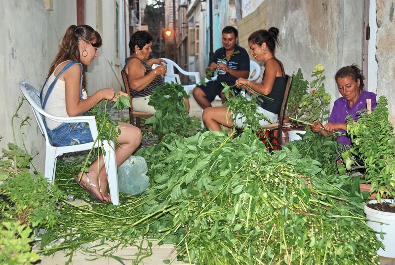 İşte Molehiyanın bilinmeyen 9 faydası! galerisi resim 8
