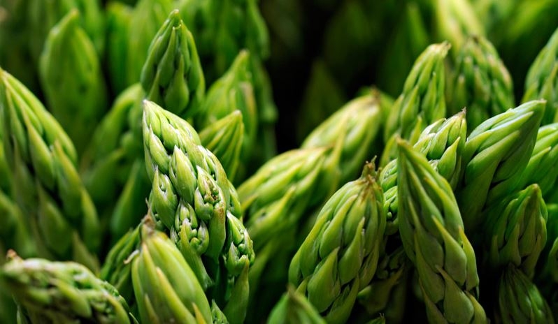 İşte Ayrelli'nin bilinmeyen 10 faydası! galerisi resim 10