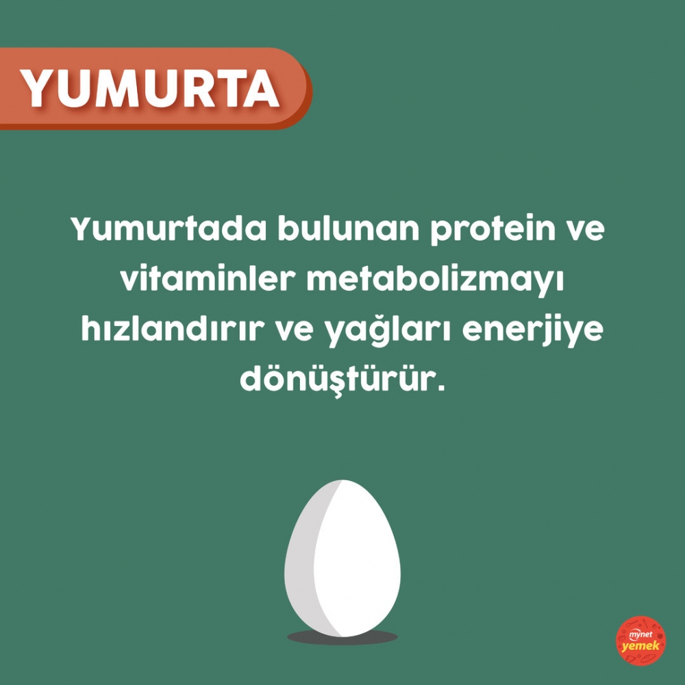 Kasları Geliştirmek İçin 6 Süper Yiyecek galerisi resim 2