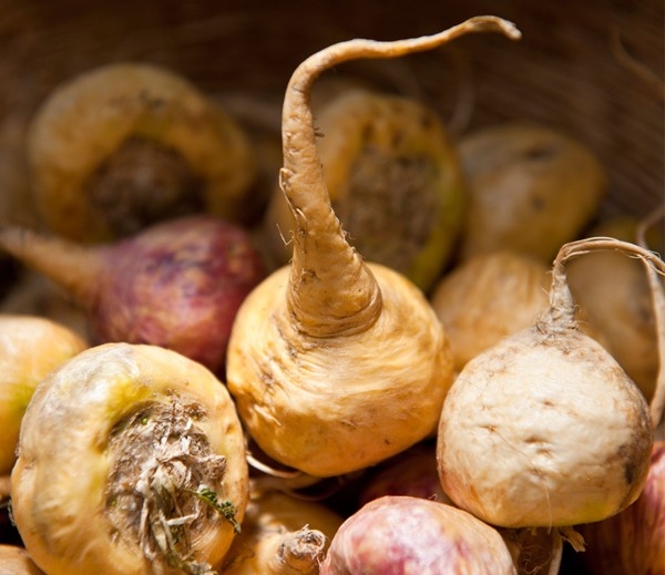 Genç kalmanın sırrı mucizevi bitkide galerisi resim 5