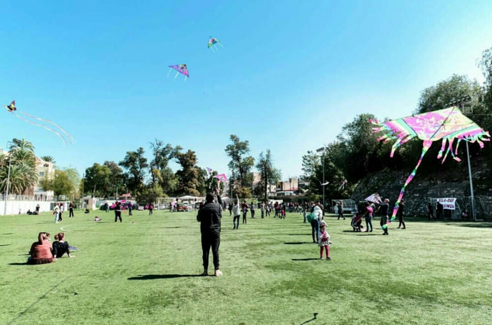 Özgürlüğe doğru uçurttular... galerisi resim 5