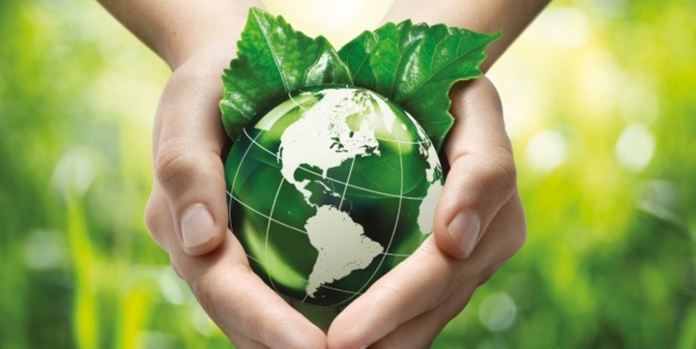 Vegan olmak için 10 neden! galerisi resim 7