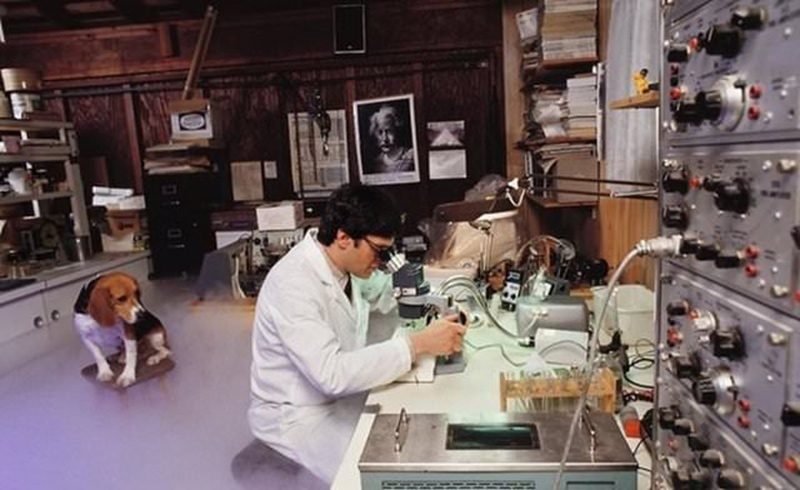 İnsanları dondurup sonra diriltmek mümkün mü? galerisi resim 17