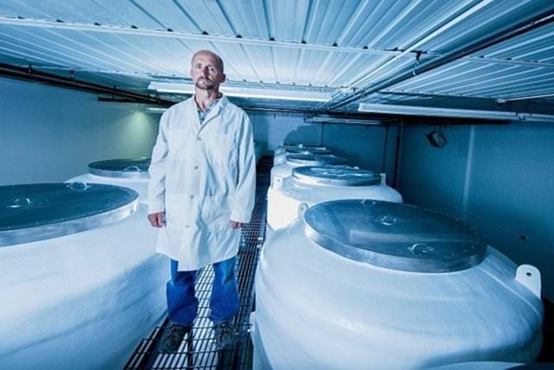 İnsanları dondurup sonra diriltmek mümkün mü? galerisi resim 19