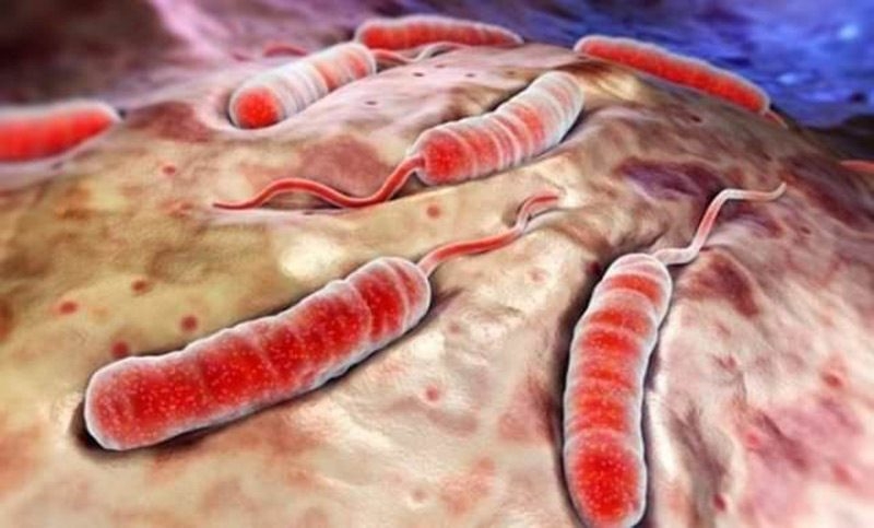 İnsanları dondurup sonra diriltmek mümkün mü? galerisi resim 7