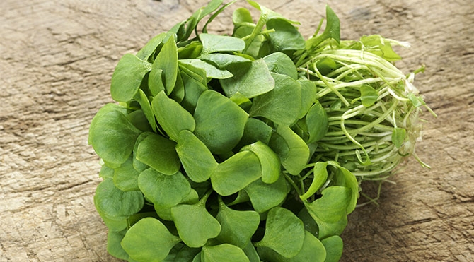 Bu besinlerle kalbinizi güçlendirin galerisi resim 2