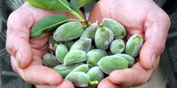 Bu besinlerle kalbinizi güçlendirin galerisi resim 7