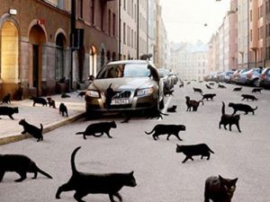 İşte Dünya'daki Yaygın 15 Batıl İnanç