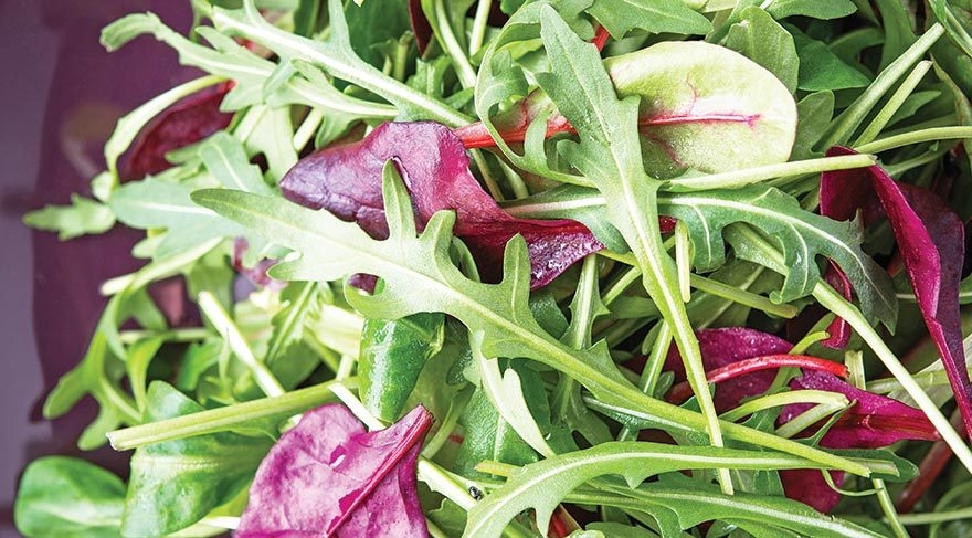 Bahar yorgunluğunu yok eden besinler galerisi resim 3