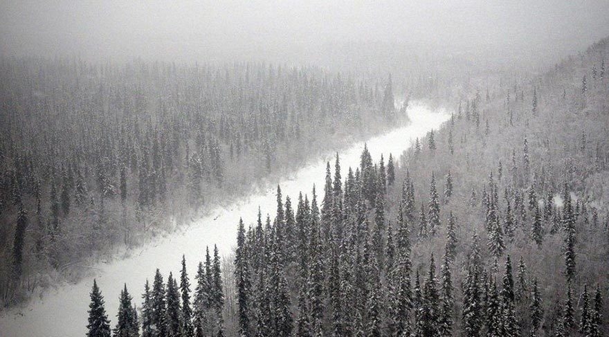 Atcley Ailesi'nin yaşamı! galerisi resim 7