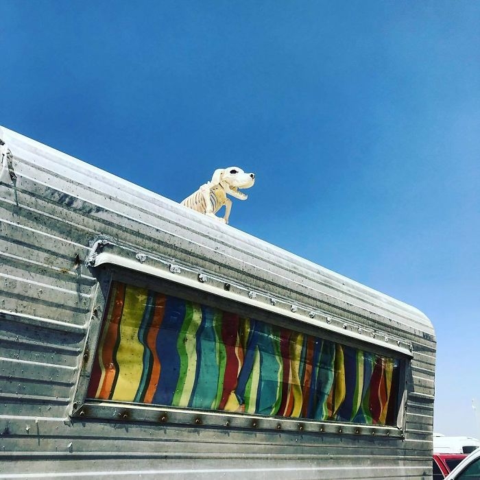 Dünyanın en sıradışı festivali: Burning Man galerisi resim 82