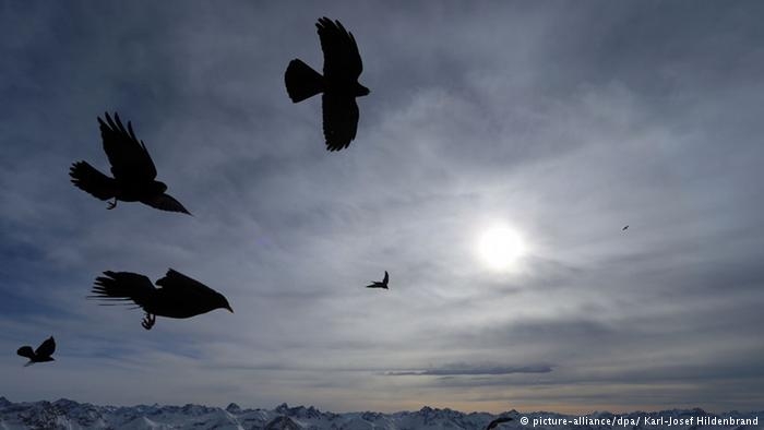 Bazıları yüksekten uçar galerisi resim 4