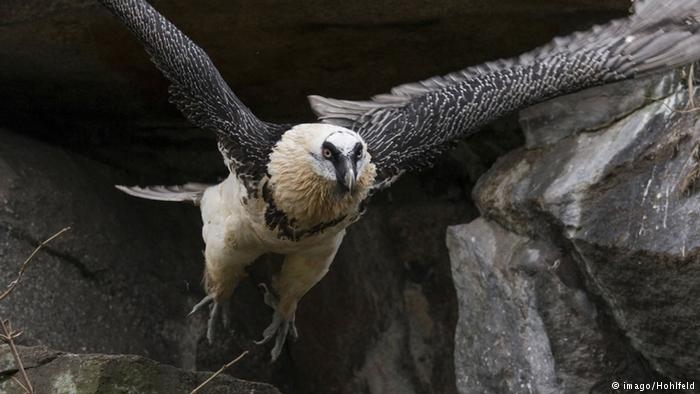 Bazıları yüksekten uçar galerisi resim 5