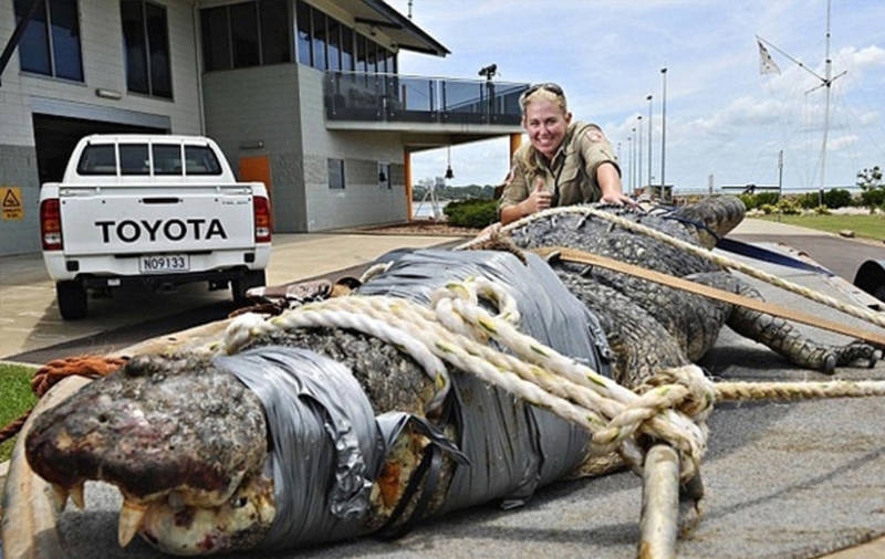 Avustralya'ya özgü ürkütücü 22 durum galerisi resim 18