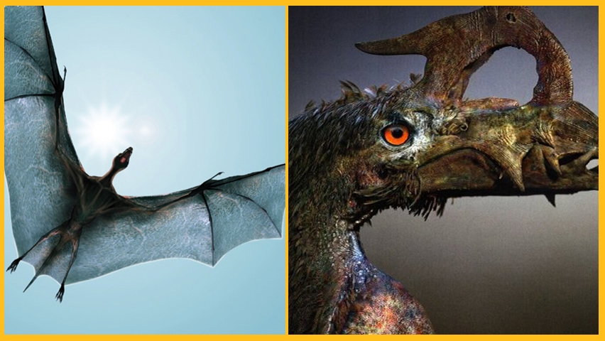 Avustralya'ya özgü ürkütücü 22 durum galerisi resim 21