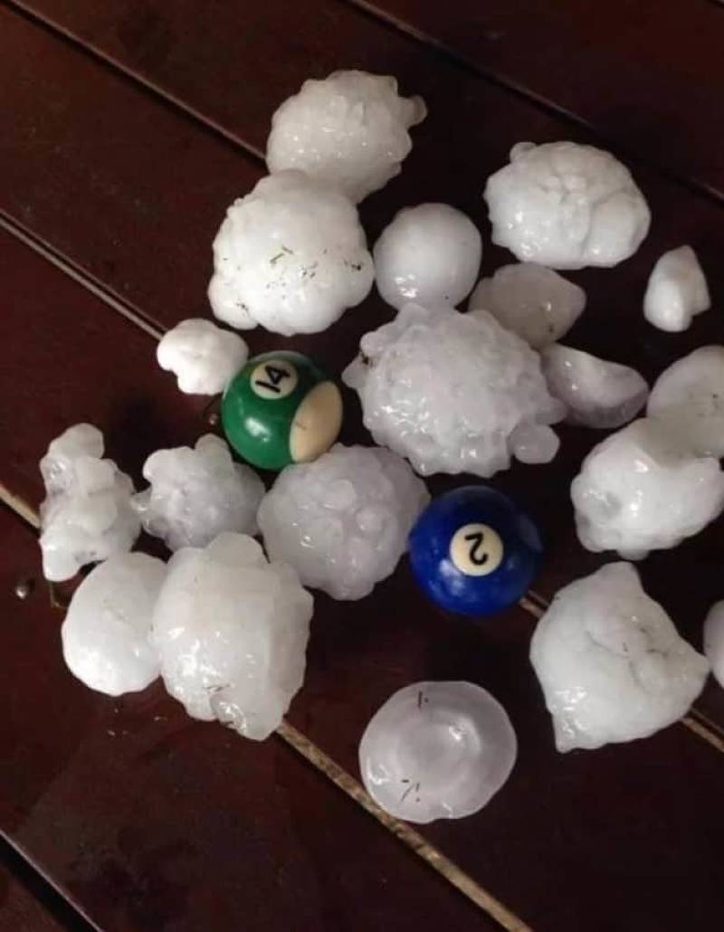 Avustralya'ya özgü ürkütücü 22 durum galerisi resim 5