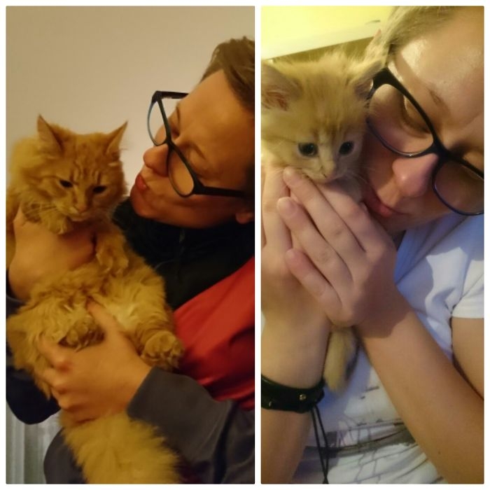 Birlikte Büyüyen Hayvanların  Öncesi ve Sonrası galerisi resim 51