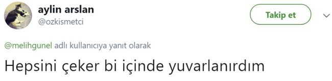 Banka hesabınıza birden 10 Milyon TL yatsaydı ne yapardınız ? galerisi resim 10