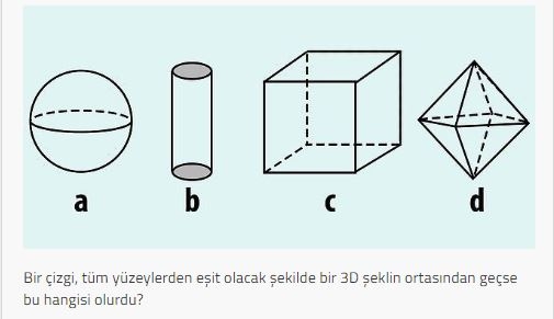 Astronot olabilir misiniz?  İşte o sorular (TEST) galerisi resim 7