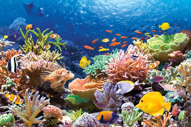 Ülkelerin tuhaf cinsel yasakları galerisi resim 11