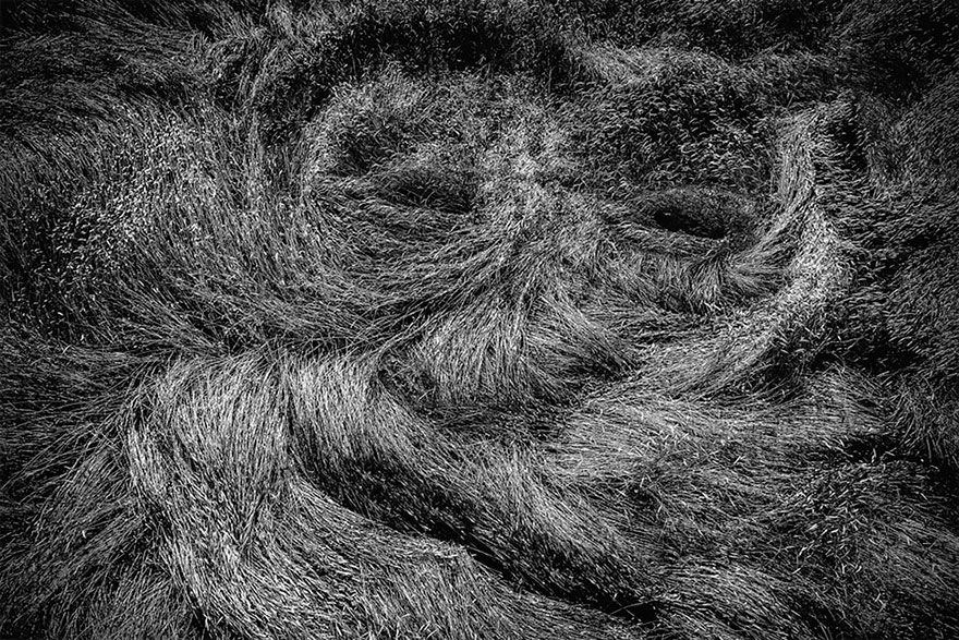 2019 Yılının en iyi Drone fotoğrafları galerisi resim 19