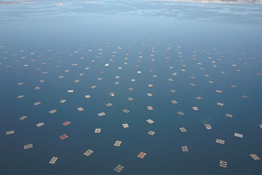 2019 Yılının en iyi Drone fotoğrafları galerisi resim 57