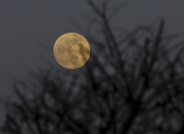 Kanlı ay, hayran bıraktı... galerisi resim 11