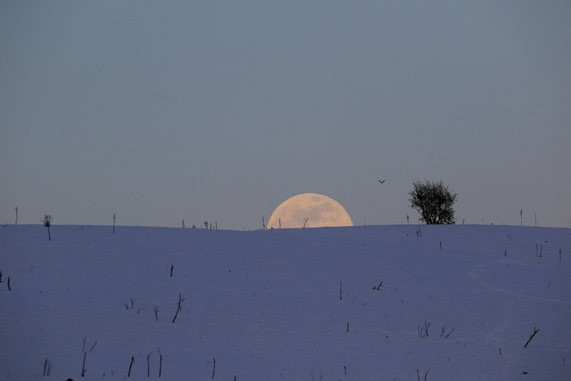 Kanlı ay, hayran bıraktı... galerisi resim 14