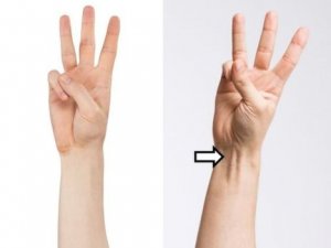 Vücudumuzda artık ihtiyaç duymadığımız için körelen özellikler