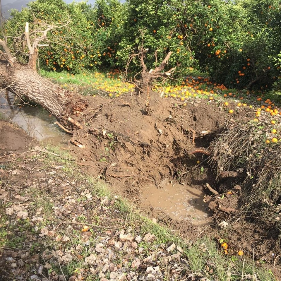 Antalya'da Hortum böyle iz bıraktı! galerisi resim 2